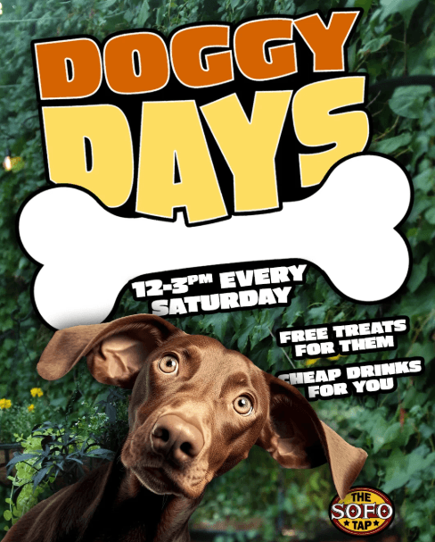 10.24 - Doggy Days