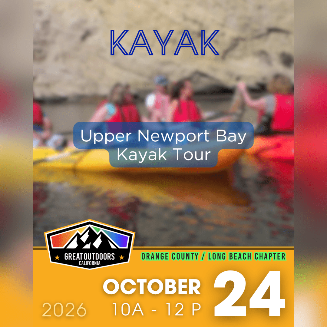 Upper Newport Bay Kayak Tour